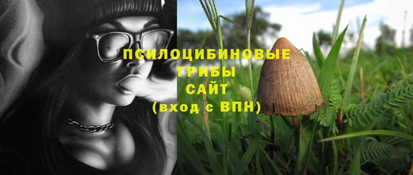 стаф Карталы