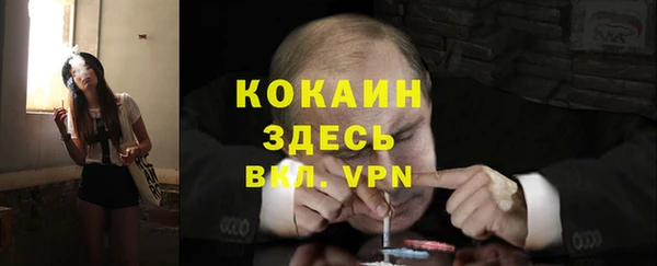 стаф Карталы