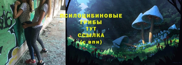 СК Касимов