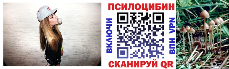 Псилоцибиновые грибы MAGIC MUSHROOMS Купить закладки Рыльск